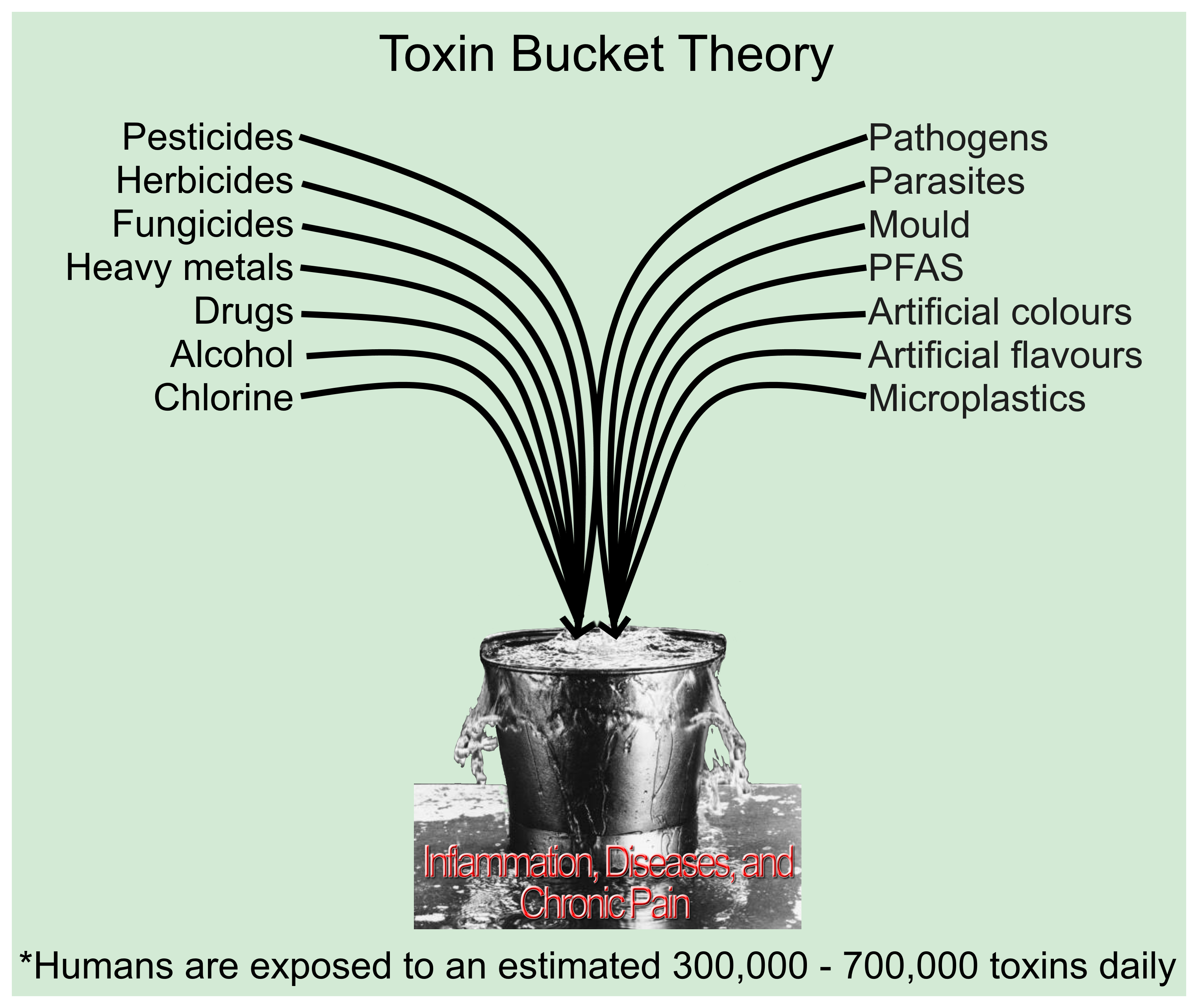 Toxin bucket theory