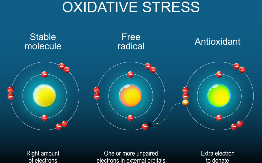 Free Radicals, Oxidative Stress, and Antioxidants