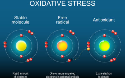 Free Radicals, Oxidative Stress, and Antioxidants