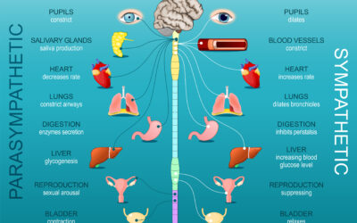The Autonomic Nervous System and Chronic Pain